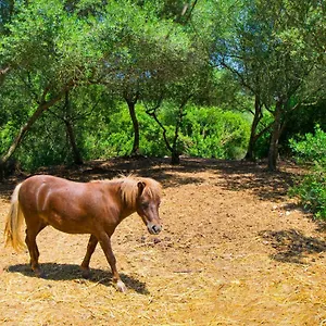  Villa Putxet D'en Robi By Mallorca Selection Spanien